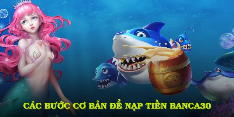 Các bước cơ bản để nạp tiền Banca30 thành công